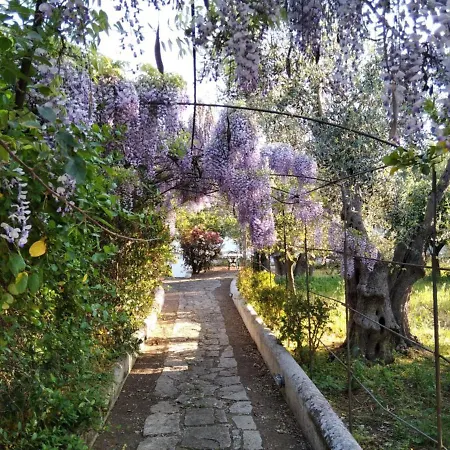 Masseria Liberatore Bed & Breakfast