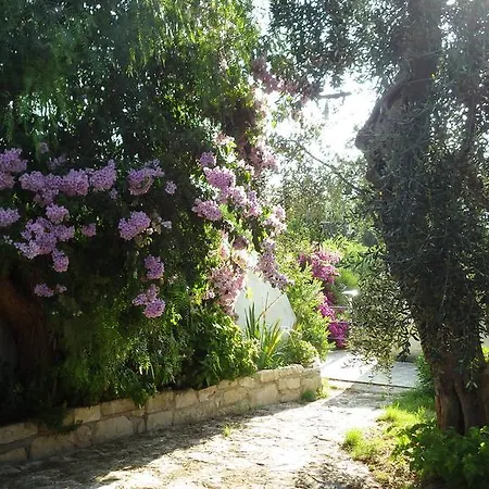 Masseria Liberatore 3*
